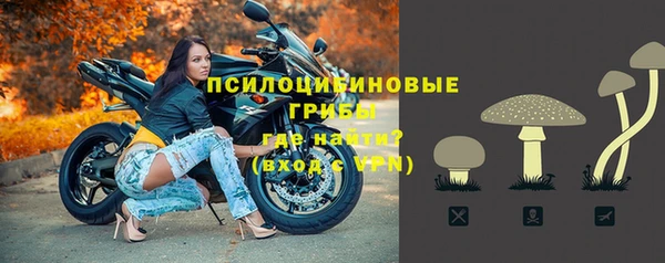 прущие крисы Арсеньев
